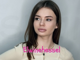 Elwinehessel