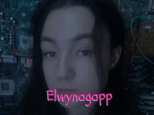 Elwynagapp