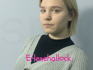 Erlenehallock