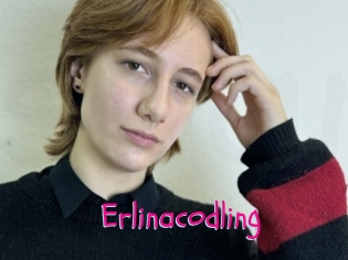 Erlinacodling
