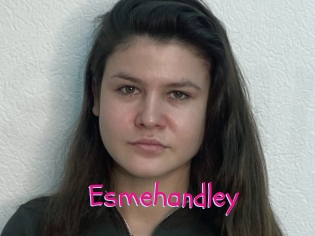 Esmehandley