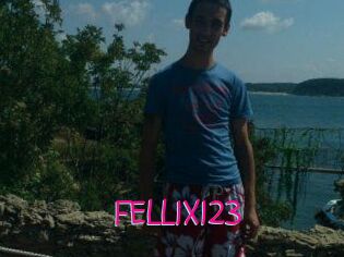 FELL1X123
