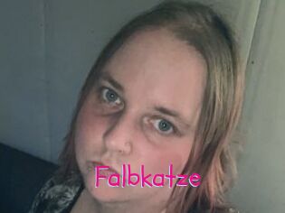 Falbkatze