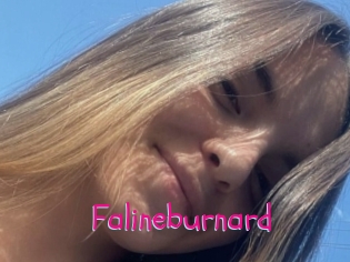 Falineburnard