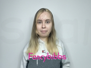 Fancybibbs