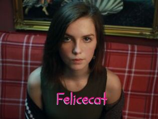 Felicecat