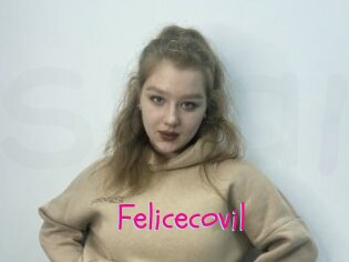 Felicecovil