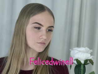 Felicedwinell