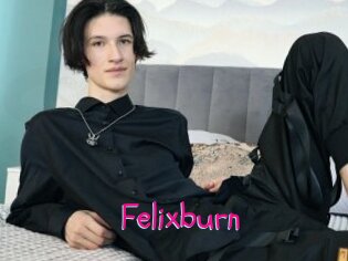 Felixburn