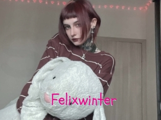 Felixwinter