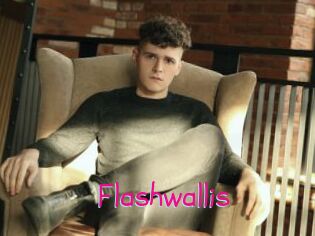 Flashwallis