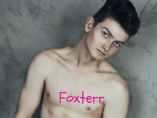 Foxterr