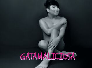 GATAMALICIOSA