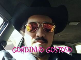 GORDINHO_GOSTOSO