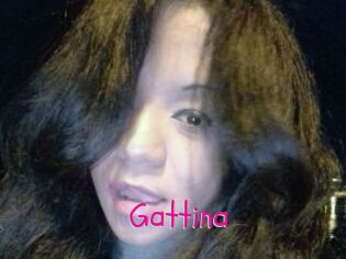 Gattina