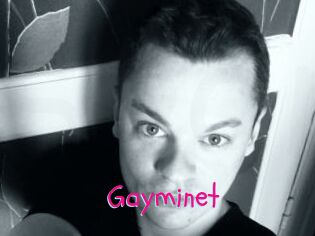 Gayminet