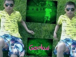Gaokui