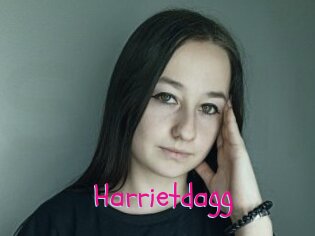 Harrietdagg