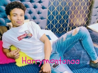 Harrymontanaa