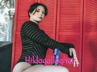 Hildagallagher