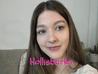 Hollisbarks