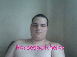 Horsesbatchelor