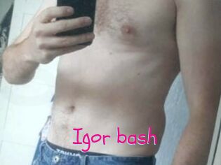 Igor_bash