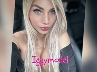 Iggymodel