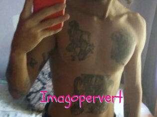 Imagopervert