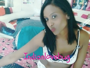 Indianlovebug