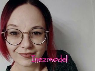 Inezmodel