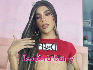 Isadora_bunny