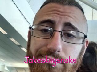 Jakesbigsnake