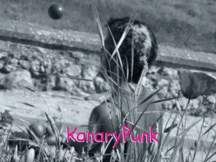 KanaryPunk