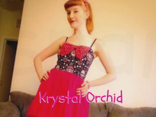 Krystal_Orchid