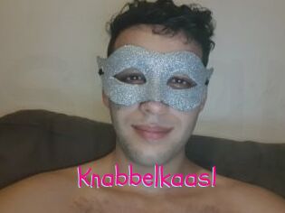 Knabbelkaas1