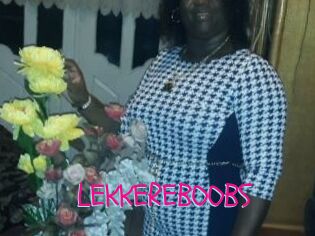 LEKKEREBOOBS
