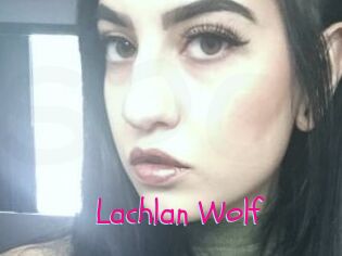Lachlan_Wolf