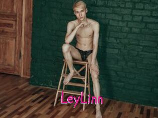 LeyLinn Spanking Sarah
