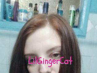 LilGingerCat