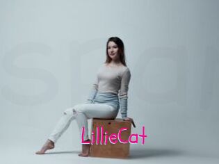 LillieCat Spanking Sarah