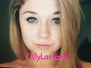 LillyLantana