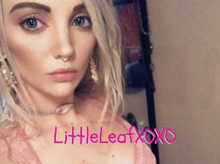 LittleLeafXOXO
