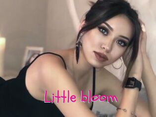 Little_bloom Spanking Sarah