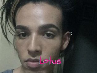 Lotus