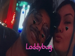 Laddybug