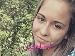 Ladybird