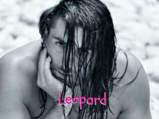 Leopard