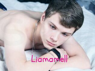 Liamamell