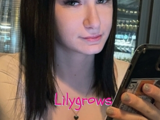 Lilygrows